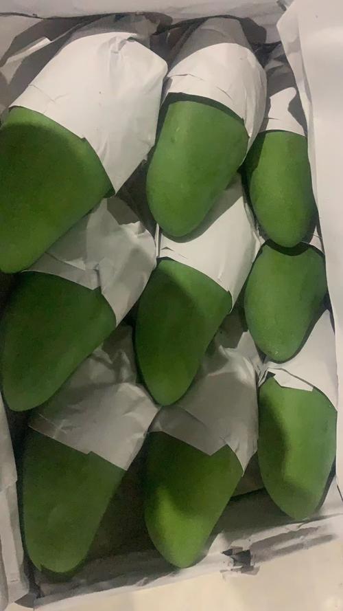 广西大青芒与青金煌芒 可芒科技厂家直供，新鲜热带芒果价格可谈